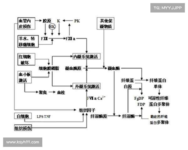 决斗场中的进入障碍问题解析及应对策略全面探讨