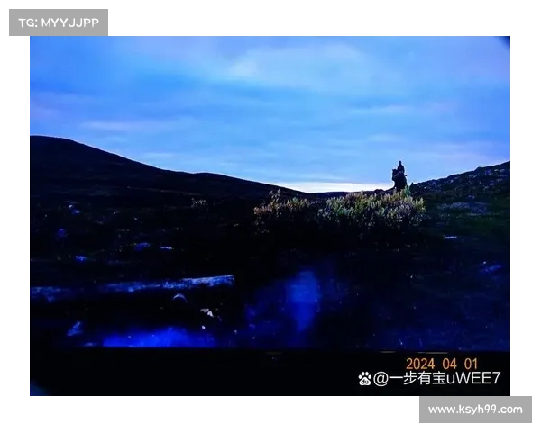 深入潘达利亚的神秘面纱探索古老文明与未知秘境的奇幻旅程